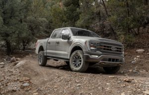Ford F-150 Tremor 2023: Redesign, Price